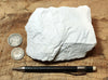diatomite - teaching hand specimen of lacustrine diatomite from Mineral County, Nevada - Geological Specimen Supply