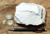 diatomite - teaching hand specimen of lacustrine diatomite from Mineral County, Nevada - Geological Specimen Supply