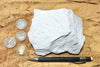 diatomite - teaching hand specimen of lacustrine diatomite from Mineral County, Nevada