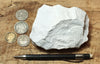 diatomite - teaching hand specimen of lacustrine diatomite from Mineral County, Nevada - Geological Specimen Supply