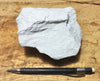 diatomite - teaching hand specimen of lacustrine diatomite from Mineral County, Nevada