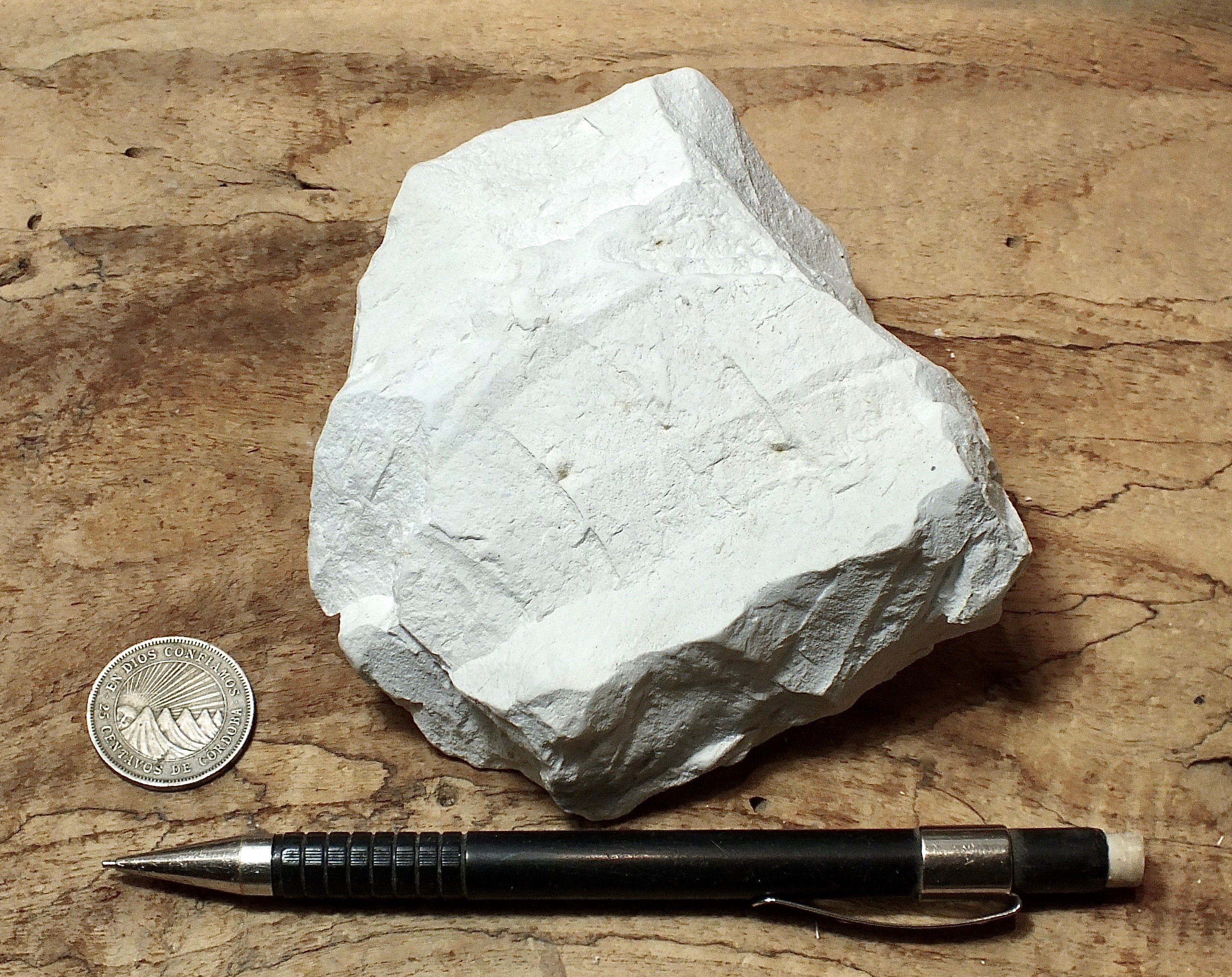 sedimentary rocks – Geological Specimen Supply