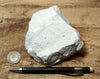 diatomite - teaching hand specimen of lacustrine diatomite from Mineral County, Nevada - Geological Specimen Supply