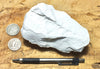 diatomite - teaching hand specimen of lacustrine diatomite from Mineral County, Nevada