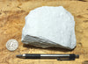 diatomite - teaching hand specimen of lacustrine diatomite from Mineral County, Nevada