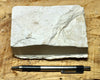 diatomite - teaching hand specimen of Miocene marine diatomite from the Monterey Formation of California, Newport Back Bay locality