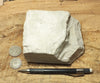 diatomite - teaching hand specimen of Miocene marine diatomite from the Monterey Formation of California, Newport Back Bay locality
