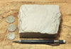 diatomite - teaching hand specimen of Miocene marine diatomite from the Monterey Formation of California, Newport Back Bay locality