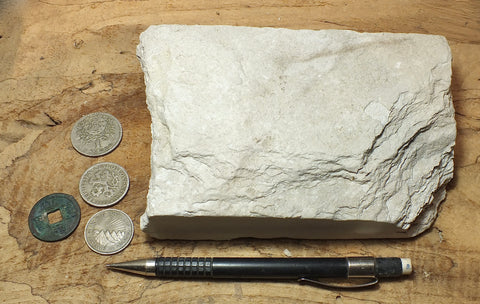 diatomite - teaching hand specimen of Miocene marine diatomite from the Monterey Formation of California, Newport Back Bay locality