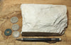diatomite - teaching hand specimen of Miocene marine diatomite from the Monterey Formation of California, Newport Back Bay locality