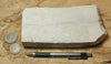 diatomite - teaching hand specimen of Miocene marine diatomite from the Monterey Formation of California, Newport Back Bay locality
