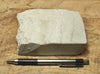 diatomite - teaching hand specimen of Miocene marine diatomite from the Monterey Formation of California, Newport Back Bay locality