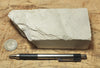 diatomite - teaching hand specimen of Miocene marine diatomite from the Monterey Formation of California, Newport Back Bay locality