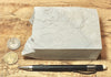 diatomite - teaching hand specimen of the Valmonte diatomite, a unit of the Monterey Formation of California