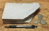 diatomite - teaching hand specimen of the Valmonte diatomite, a unit of the Monterey Formation of California