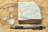 diatomite - teaching hand specimen of the Valmonte diatomite, a unit of the Monterey Formation of California