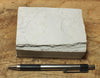 diatomite - teaching hand specimen of the Valmonte diatomite, a unit of the Monterey Formation of California