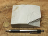 diatomite - teaching hand specimen of the Valmonte diatomite, a unit of the Monterey Formation of California