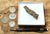 fulgurite - natural glass flanged tube formed by lightning strike on sand from the Western Sahara in Morocco
