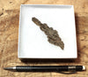 fulgurite - natural glass flanged tube formed by lightning strike on sand from the Western Sahara in Morocco