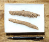 fulgurite - pair of longer than average natural glass tubes formed by lightning strikes on sand