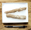 fulgurite - pair of longer than average natural glass tubes formed by lightning strikes on sand