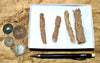 fulgurite - set of natural glass tubes formed by lightning strikes on sand