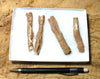 fulgurite - set of natural glass tubes formed by lightning strikes on sand