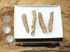 fulgurite - set of natural glass tubes formed by lightning strikes on sand