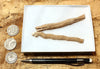 fulgurite - pair of longer than average natural glass tubes formed by lightning strikes on sand
