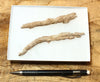 fulgurite - pair of longer than average natural glass tubes formed by lightning strikes on sand