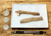 fulgurite - pair of longer than average natural glass tubes formed by lightning strikes on sand