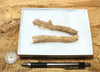 fulgurite - pair of longer than average natural glass tubes formed by lightning strikes on sand