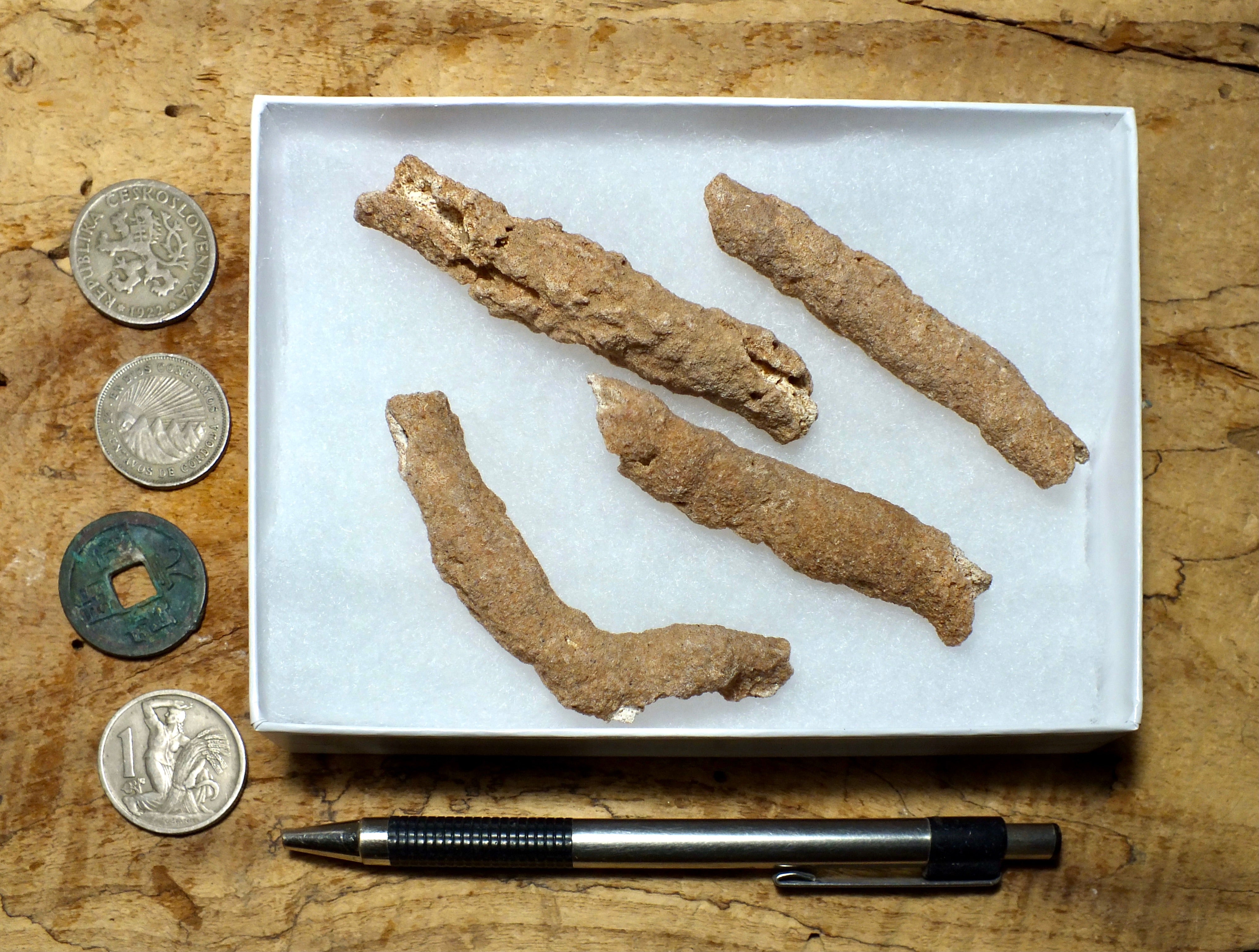fulgurites – Geological Specimen Supply