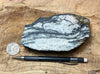 gneiss - Proterozoic granitic gneiss from the San Gabriel Mountains, California - hand specimen