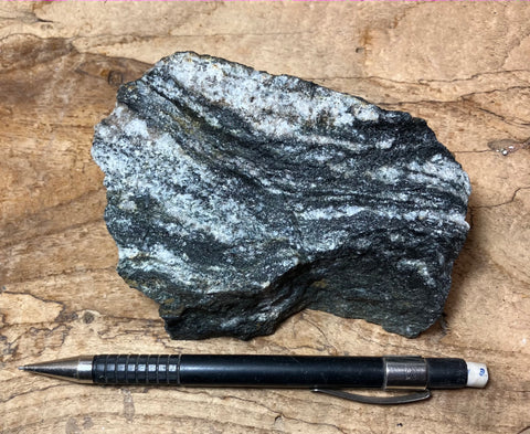 gneiss - Proterozoic granitic gneiss from the San Gabriel Mountains, California - hand specimen