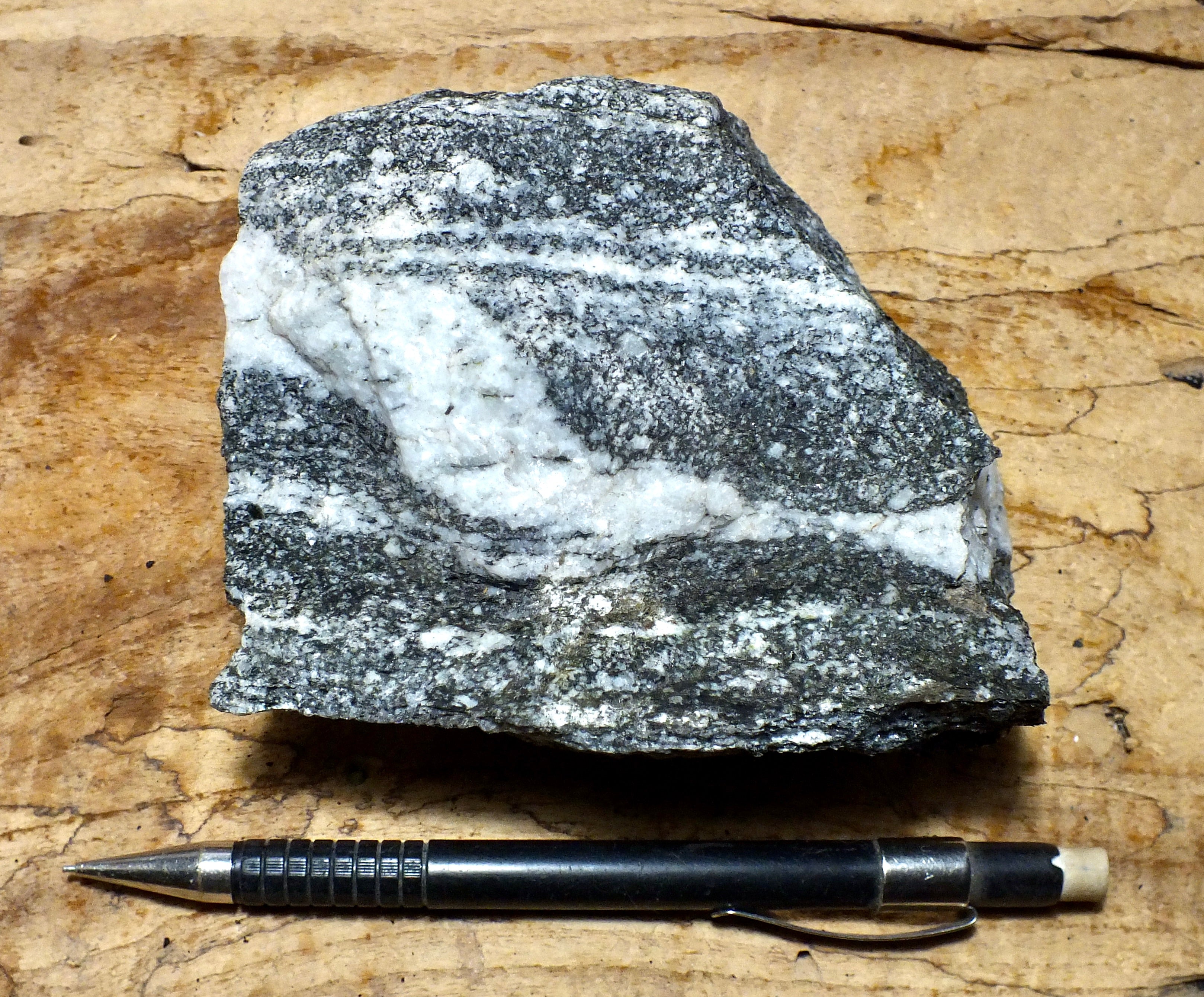 Matamorphic Rocks Real Metamorphic Rock Gneiss