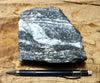 gneiss - hand/display specimen of a Proterozoic granite gneiss