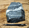 gneiss - hand/display specimen of a Proterozoic granite gneiss