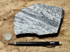 gneiss - hand/display specimen of a Proterozoic granite gneiss