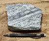 gneiss - hand/display specimen of a Proterozoic granite gneiss
