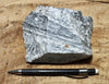 gneiss - hand/display specimen of a Proterozoic granite gneiss