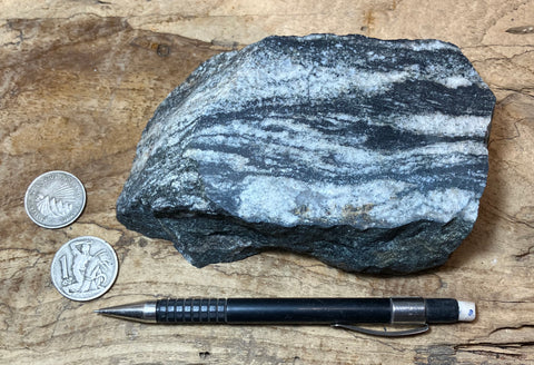 gneiss - hand/display specimen of a Proterozoic granite gneiss