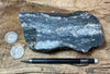 gneiss - hand/display specimen of a Proterozoic granite gneiss