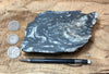 gneiss - hand/display specimen of a Proterozoic granite gneiss