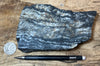 gneiss - hand/display specimen of a Proterozoic granite gneiss