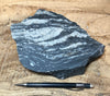 gneiss - hand/display specimen of a Proterozoic granite gneiss