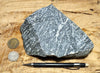 gneiss - large hand/display specimen of a Proterozoic granite gneiss from California