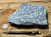 gneiss - large hand/display specimen of a Proterozoic granite gneiss from California