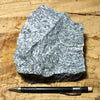 gneiss - large hand/display specimen of a Proterozoic granite gneiss from California